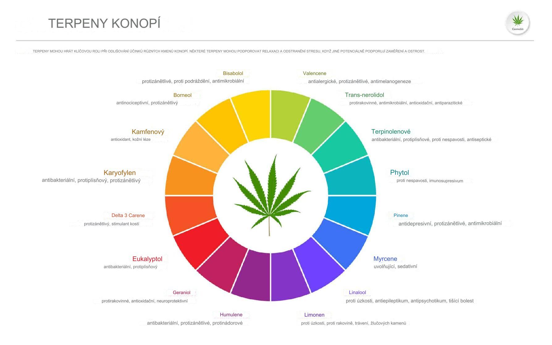 Terpeny